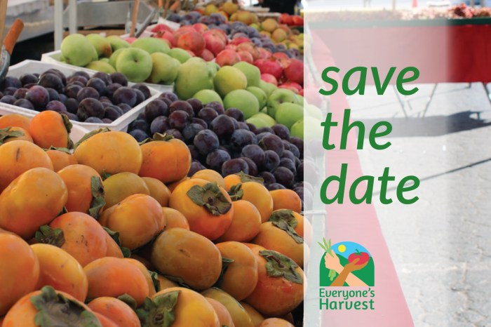 2019 Everyone's Harvest Flavors of the Harvest Postcard, designed by Michael Dean Reardon